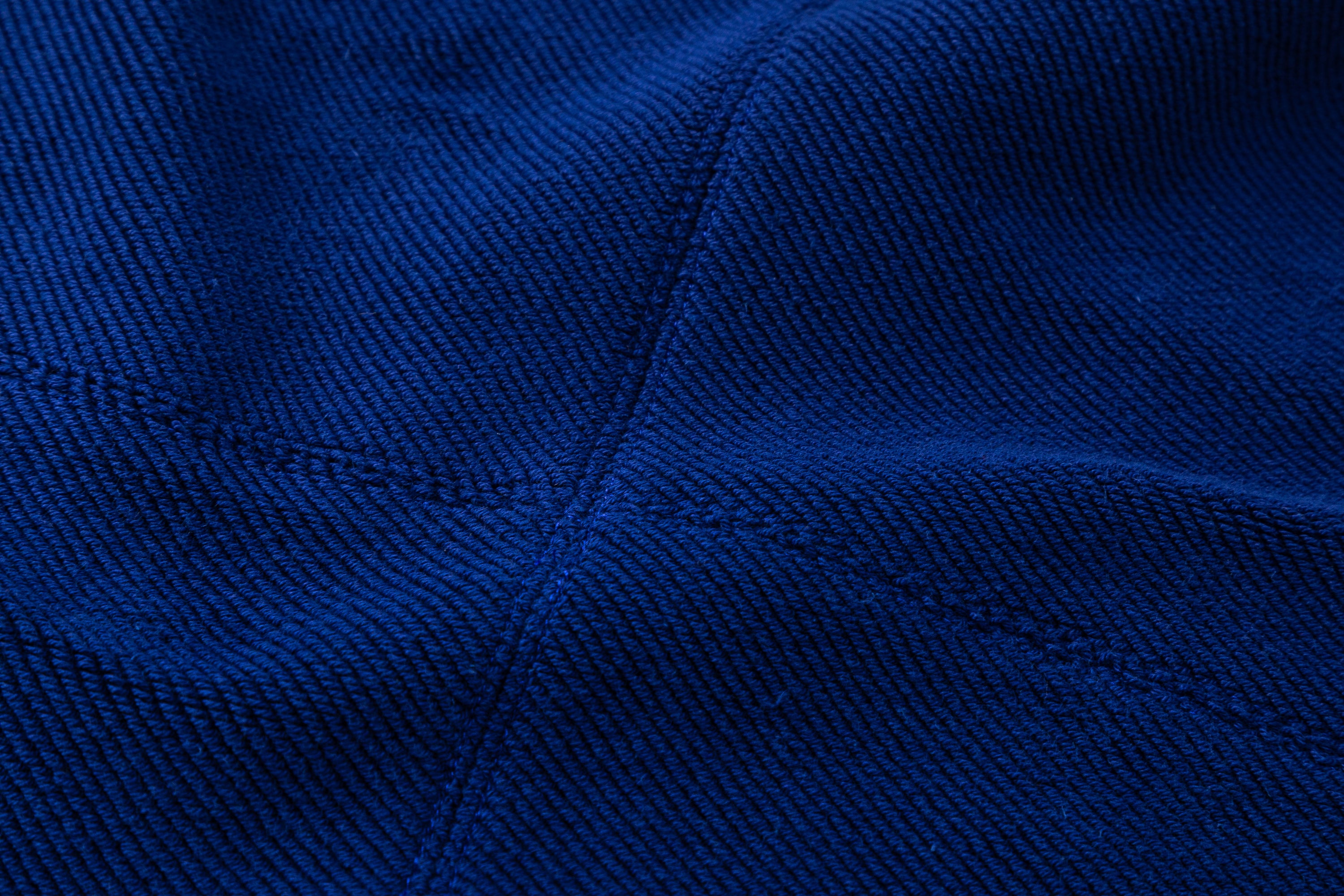 Lactarius Hoodie